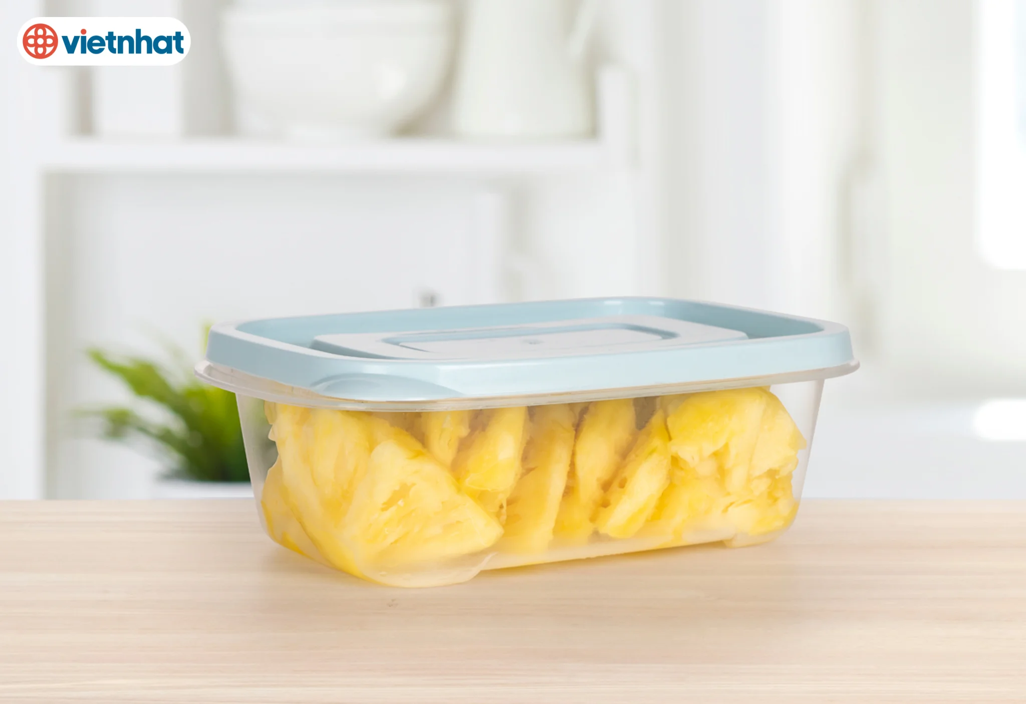 Hộp Lạnh Cn - Nhựa Việt Nhật Miền Bắc