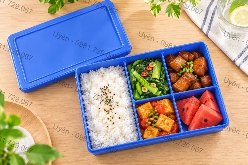 Hộp Cơm 5 Ngăn 6480 Chia Món Cơm Rau Thịt Trái Cây Mang Đi Làm